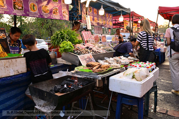 Exploring the street food vendors