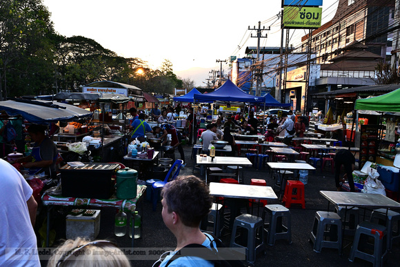 Exploring the street food vendors