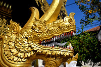 Temple Dragon